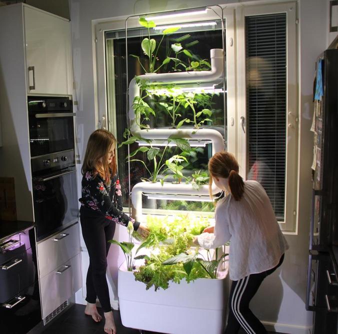 smart-home-products-indoor-garden-standard_bfba552f7a685d688de46bed57aed4c1_860x851_q85